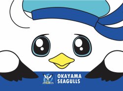 画像1: ウィンディーブランケット