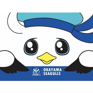 画像: ウィンディーブランケット