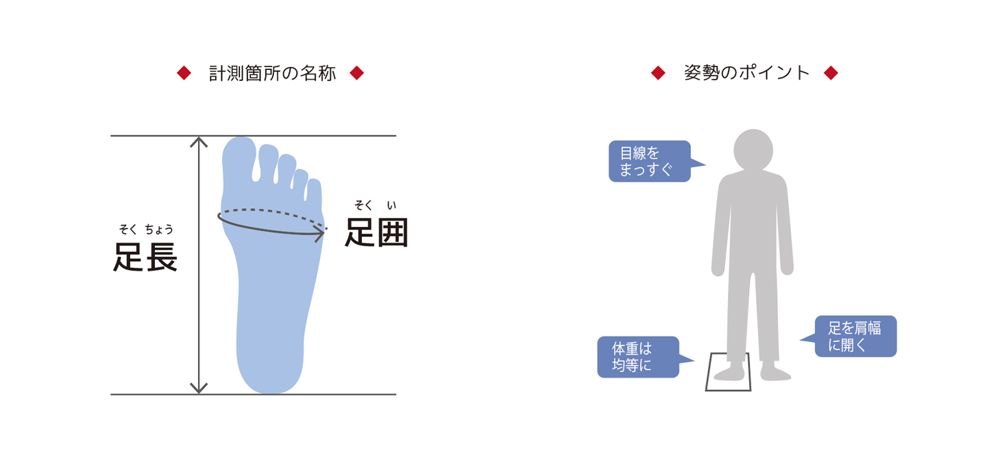 画像: スポーツジョグII【受注製品】