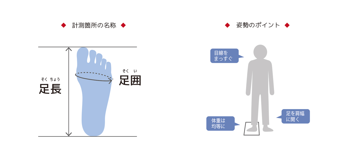 画像: hitoe【受注製品】