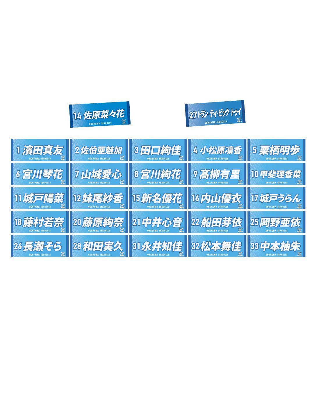 画像2: 2025-26選手応援タオル